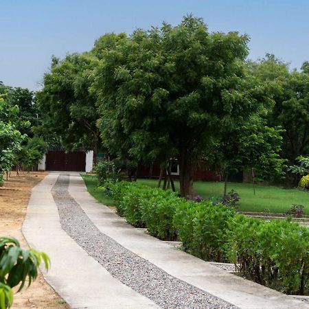 Stayvista At Idyllic Farmhouse - A Glasshouse With Outdoor Pool Gurgaon Zewnętrze zdjęcie